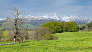 Traitement punaises de lit Mont-de-Marsan
